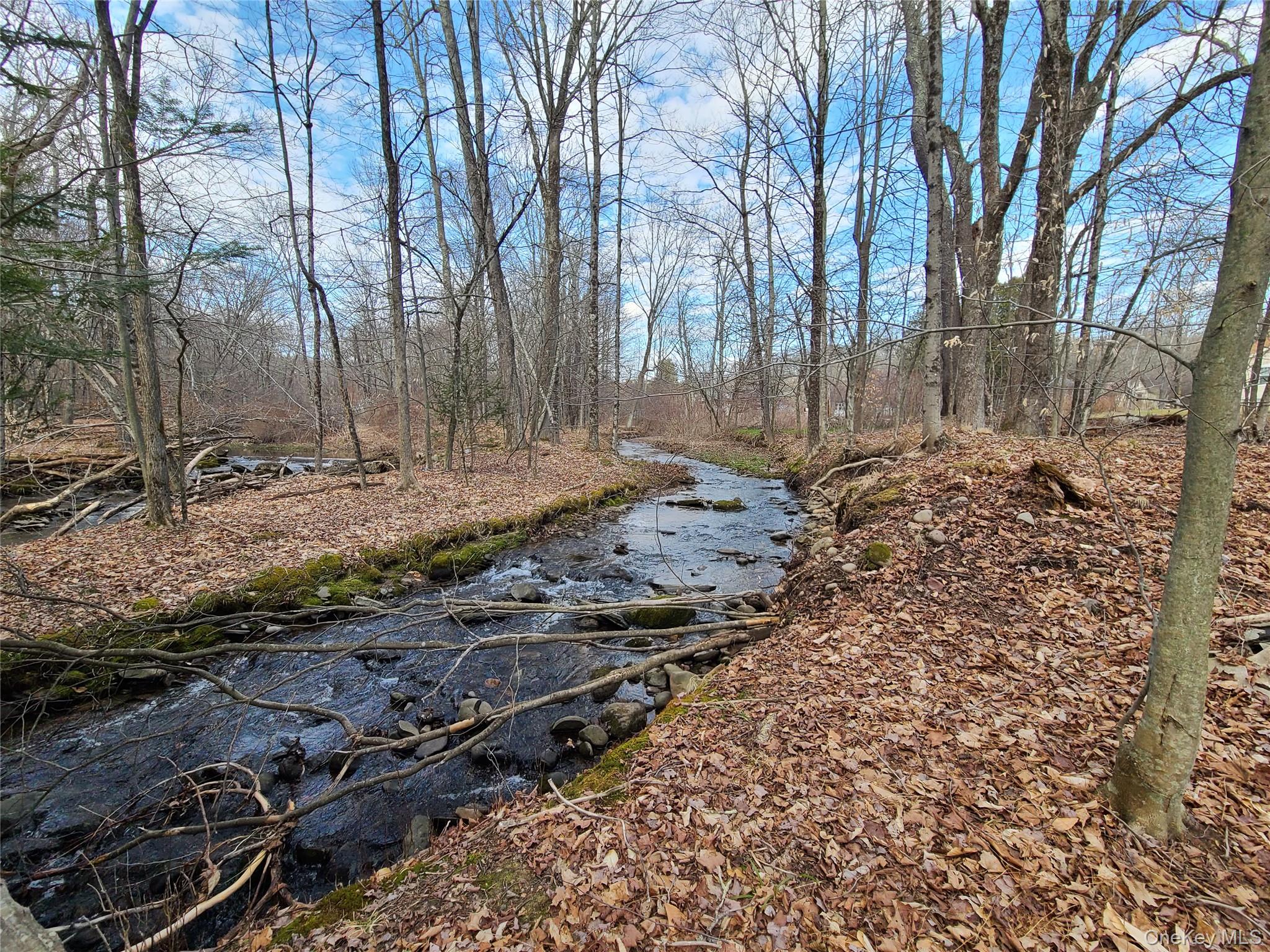 #5 photo, *00 Rt. 52 and Mineral Springs Road, White Sulphur Spring , NY 12787