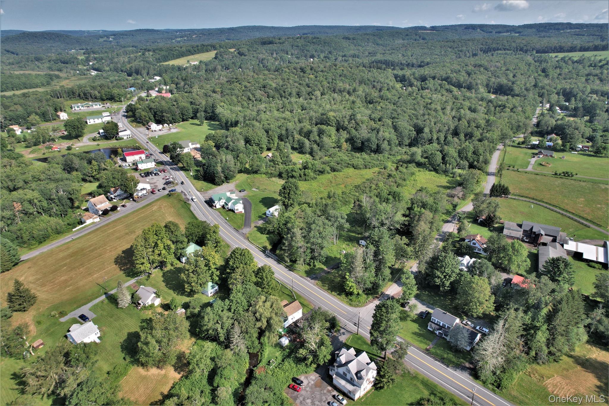 #6 photo, *00 Rt. 52 and Mineral Springs Road, White Sulphur Spring , NY 12787