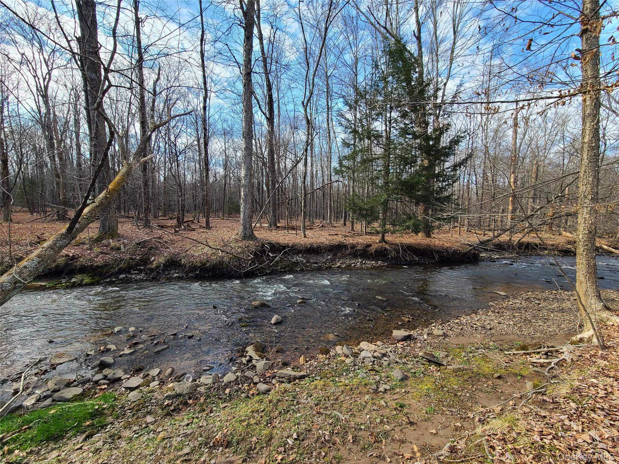 #8 photo, *00 Rt. 52 and Mineral Springs Road, White Sulphur Spring , NY 12787