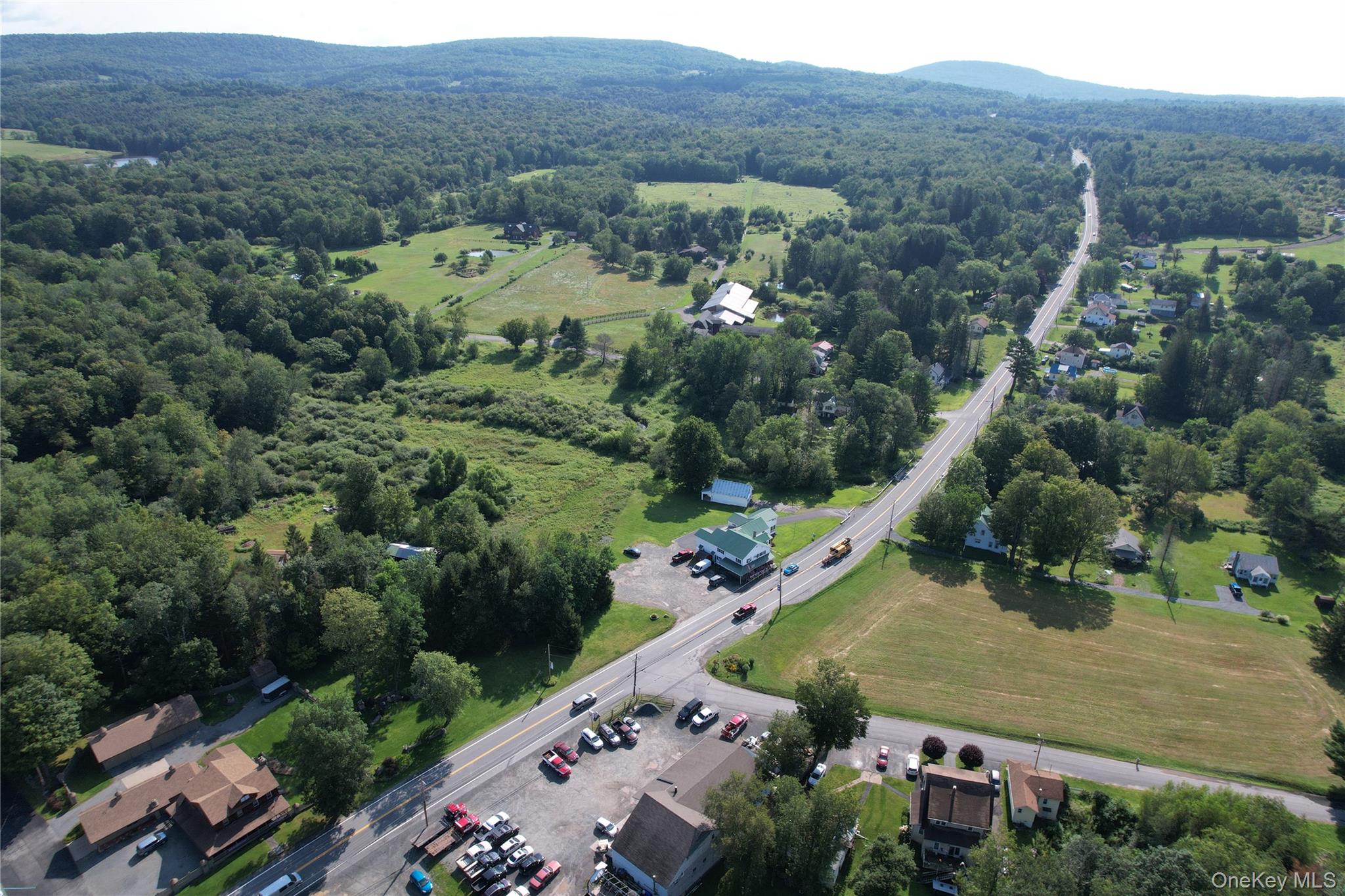 #9 photo, *00 Rt. 52 and Mineral Springs Road, White Sulphur Spring , NY 12787