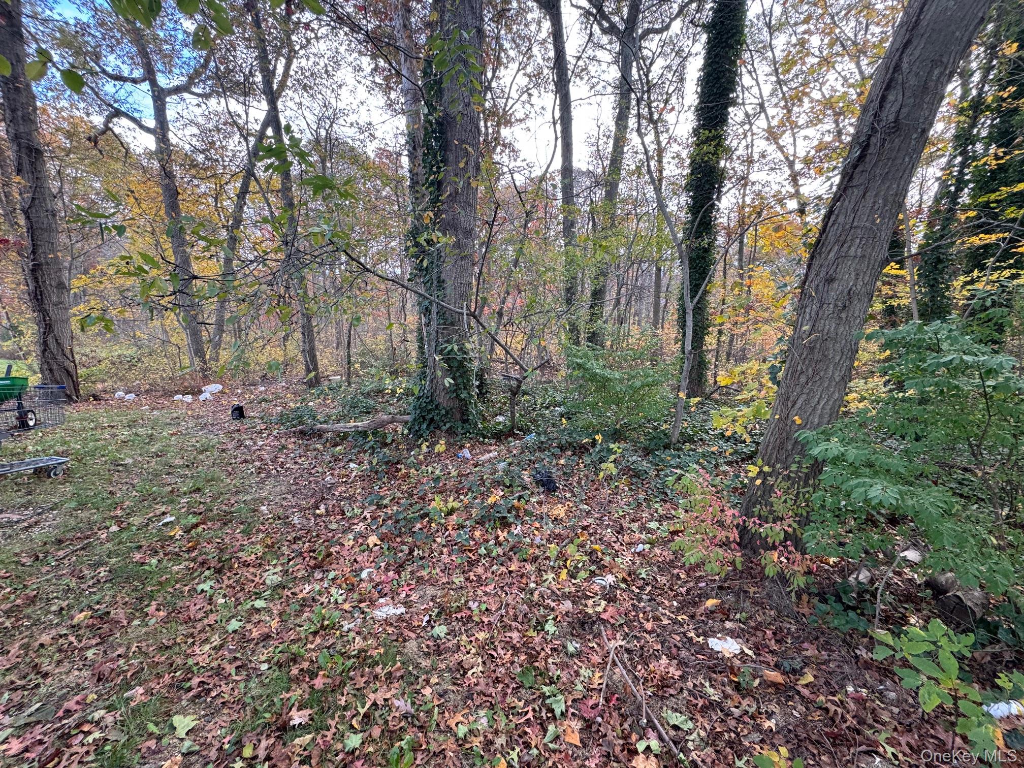 #2 photo, 8 Columbo Drive, Deer Park , NY 11729