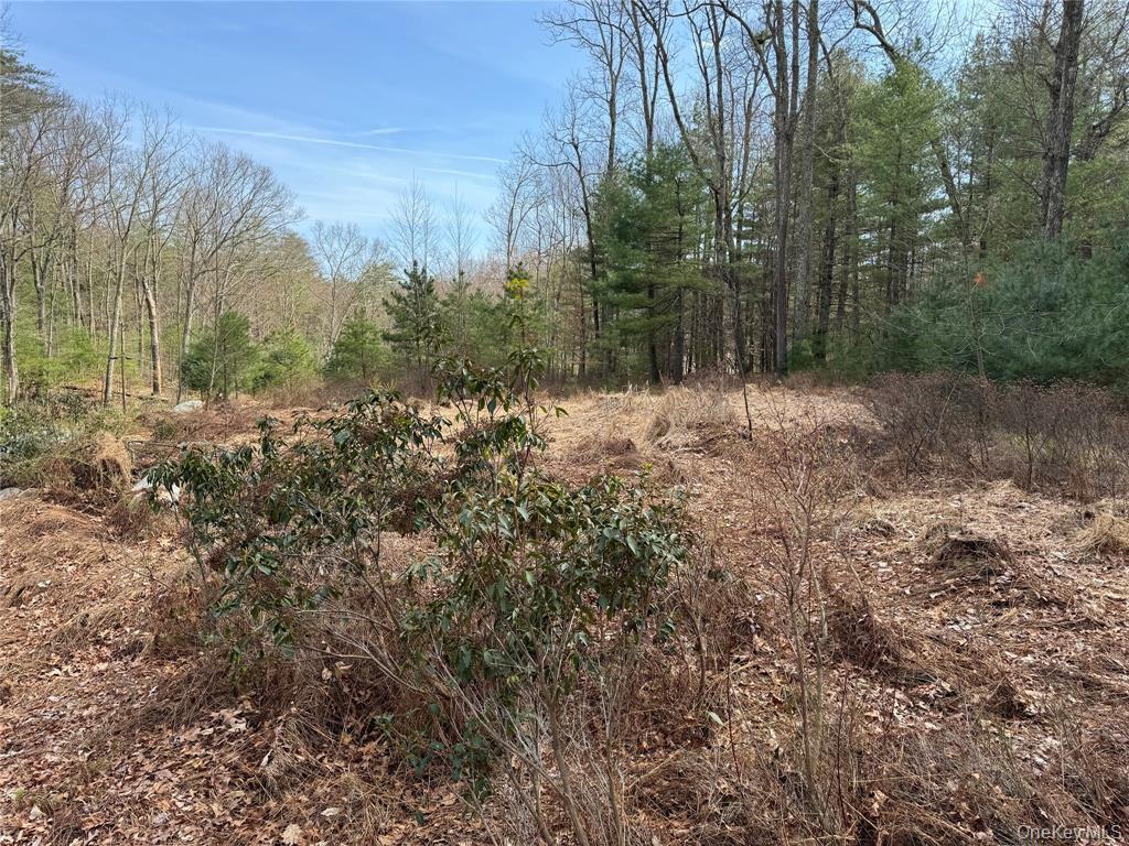 #1 photo, Echo Road, Bloomingburg , NY 12721