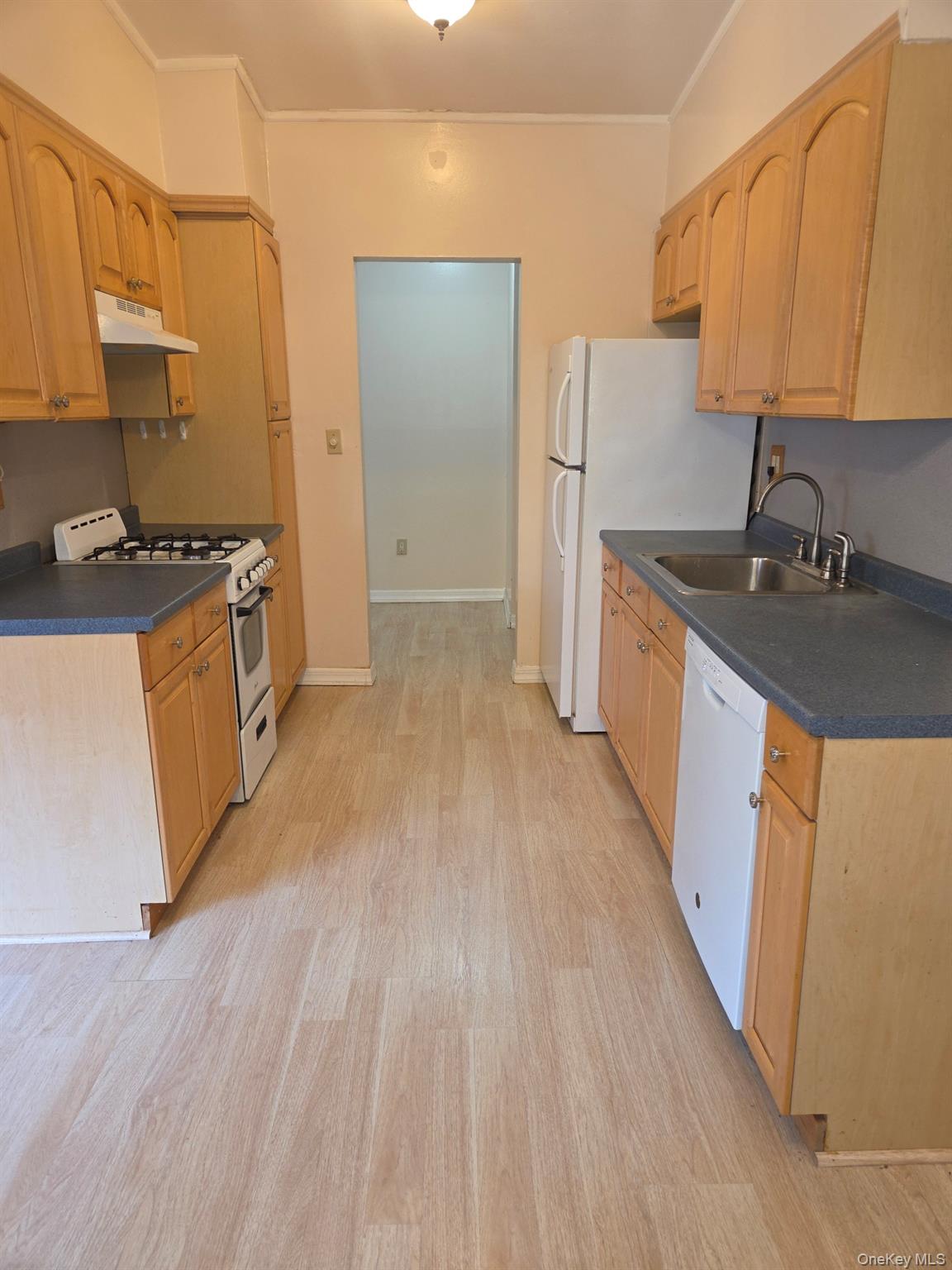 #9 photo, 267 n newbridge 267 N NEWBRIDGE Road, Levittown , NY 11756