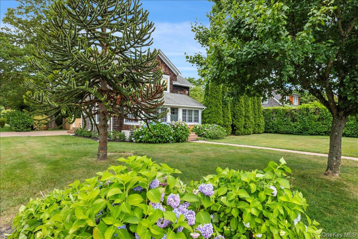 #5 photo, 19 New Jersey Avenue, Bellport Village , NY 11713