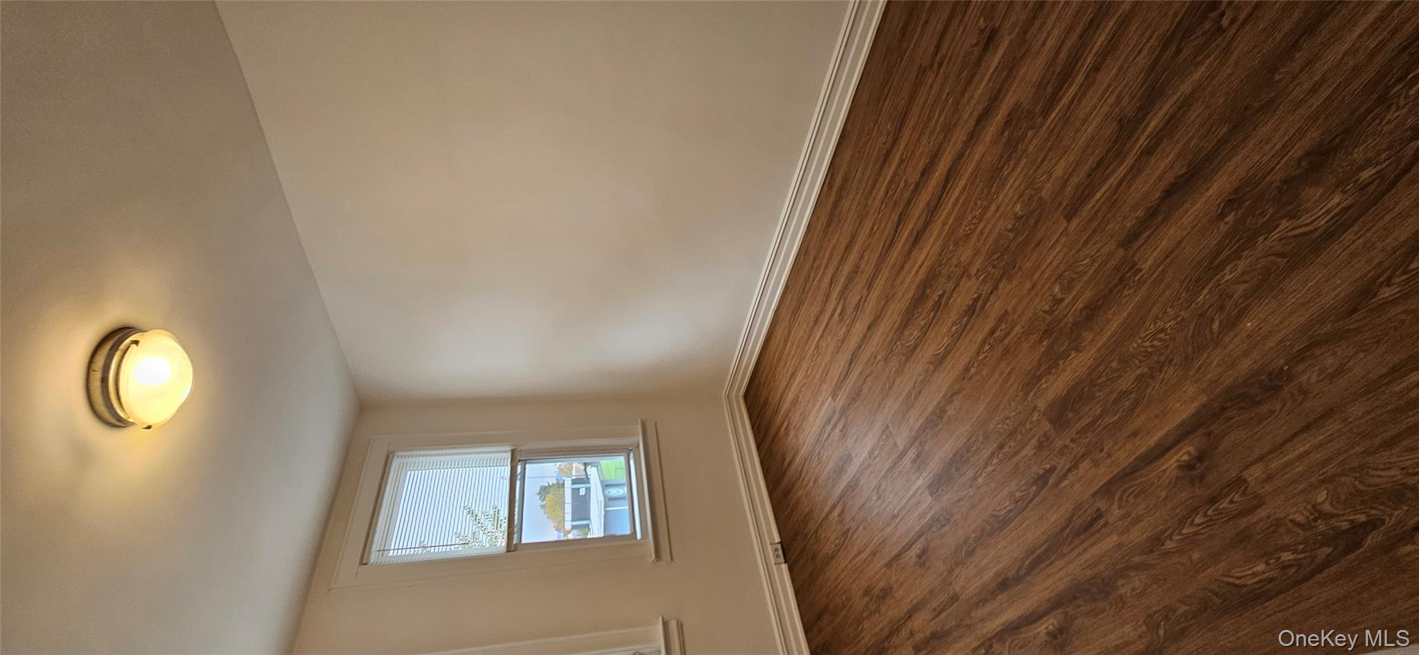 #19 photo, 60-66 60th Street, Maspeth , NY 11378