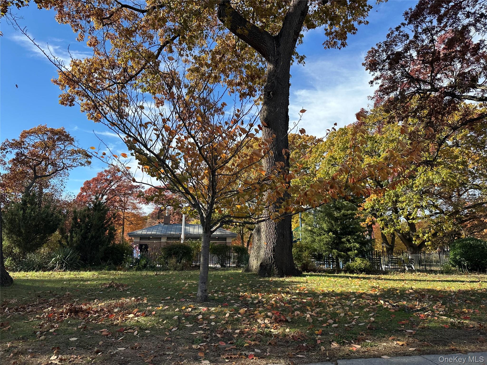 #17 photo, 23110 145th Avenue, Springfield Gardens , NY 11413