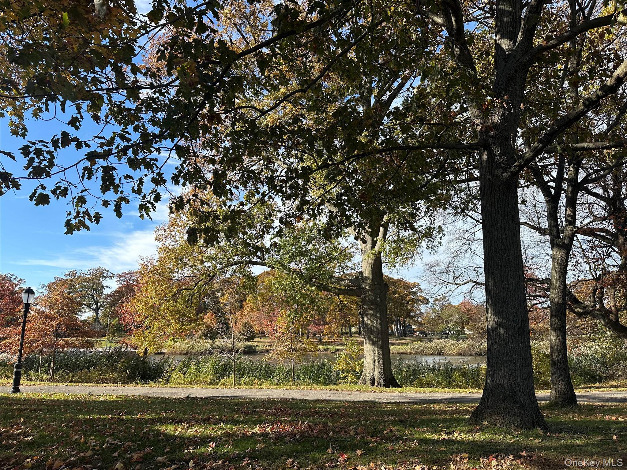 #18 photo, 23110 145th Avenue, Springfield Gardens , NY 11413