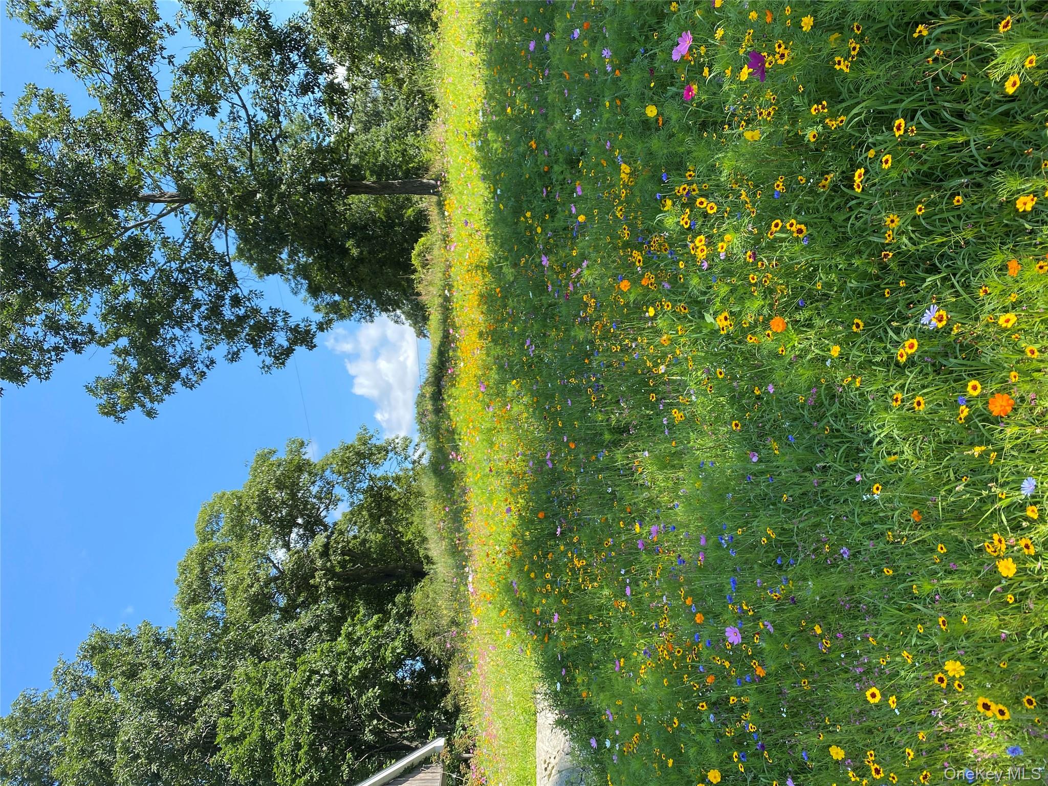 #1 photo, 12 Powers Lane, Saugerties , NY 12477