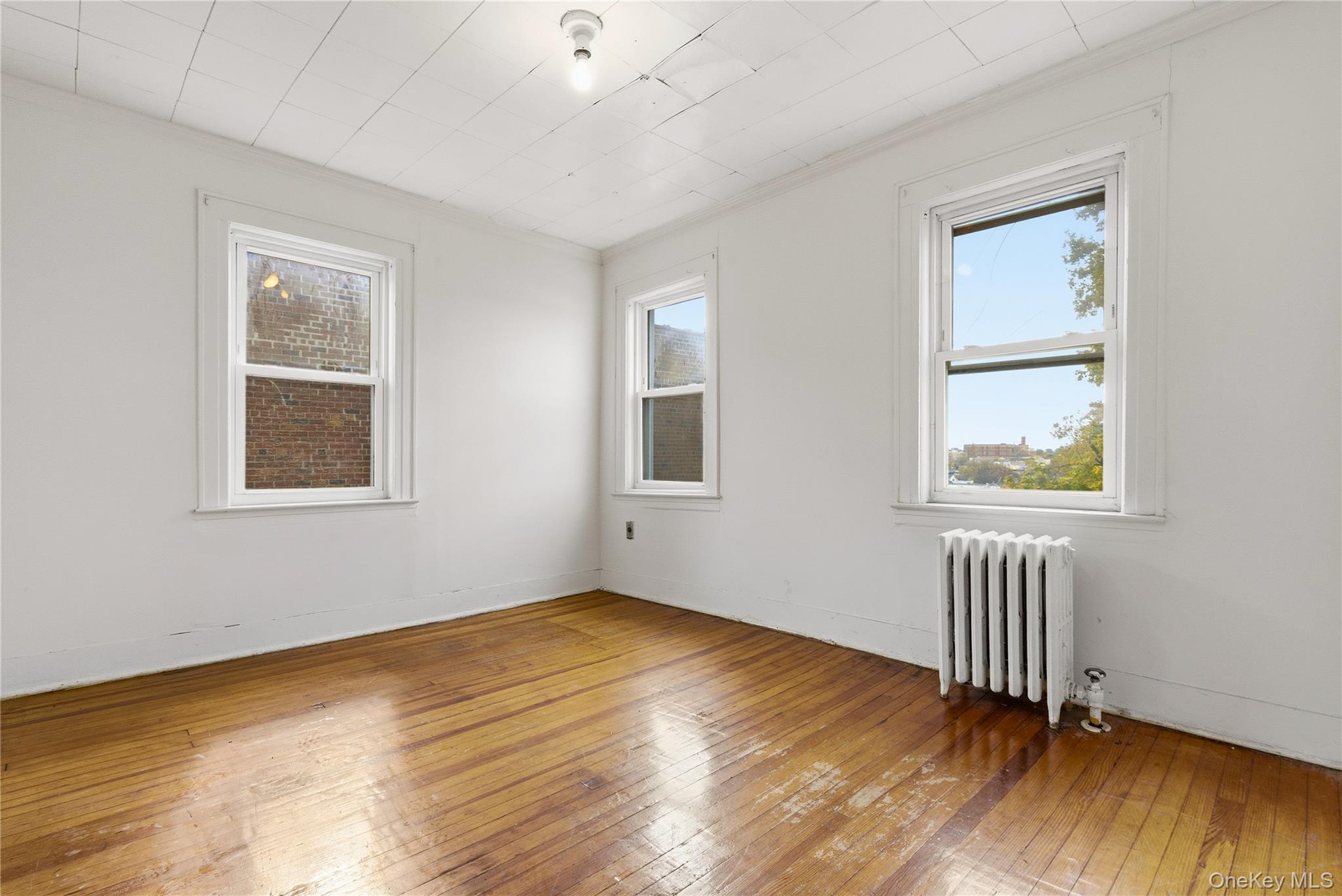 #10 photo, 61-24 65th Street, Middle Village , NY 11379