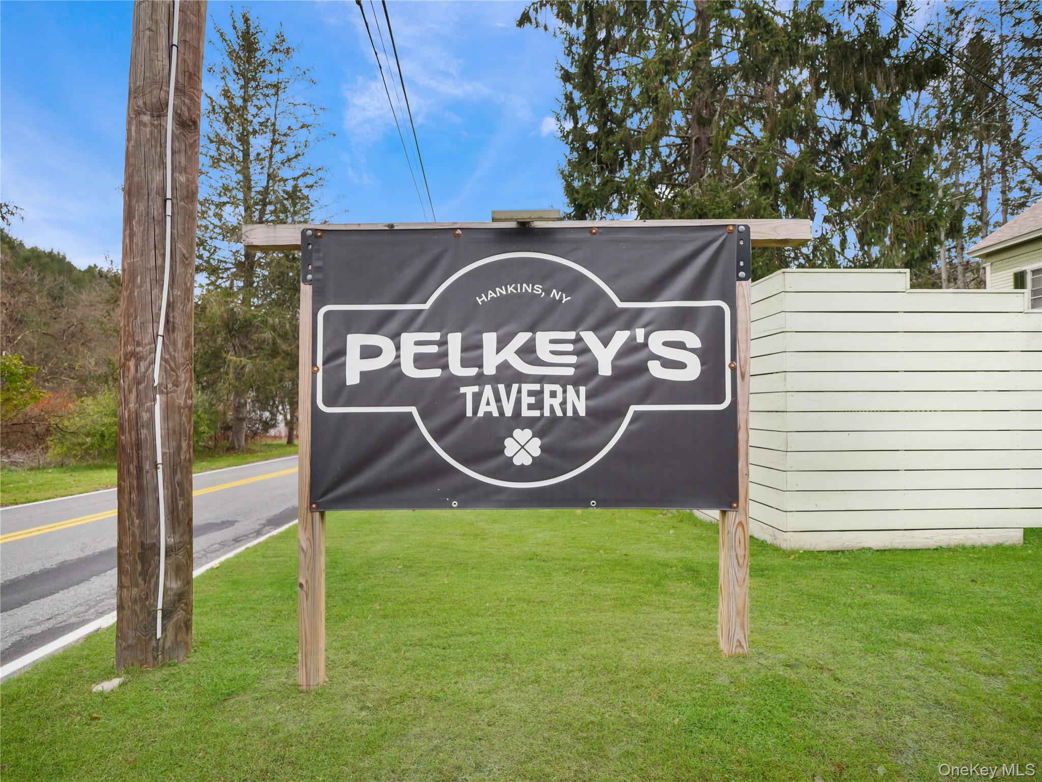 #7 photo, 553 County Road 94, Hankins , NY 12741