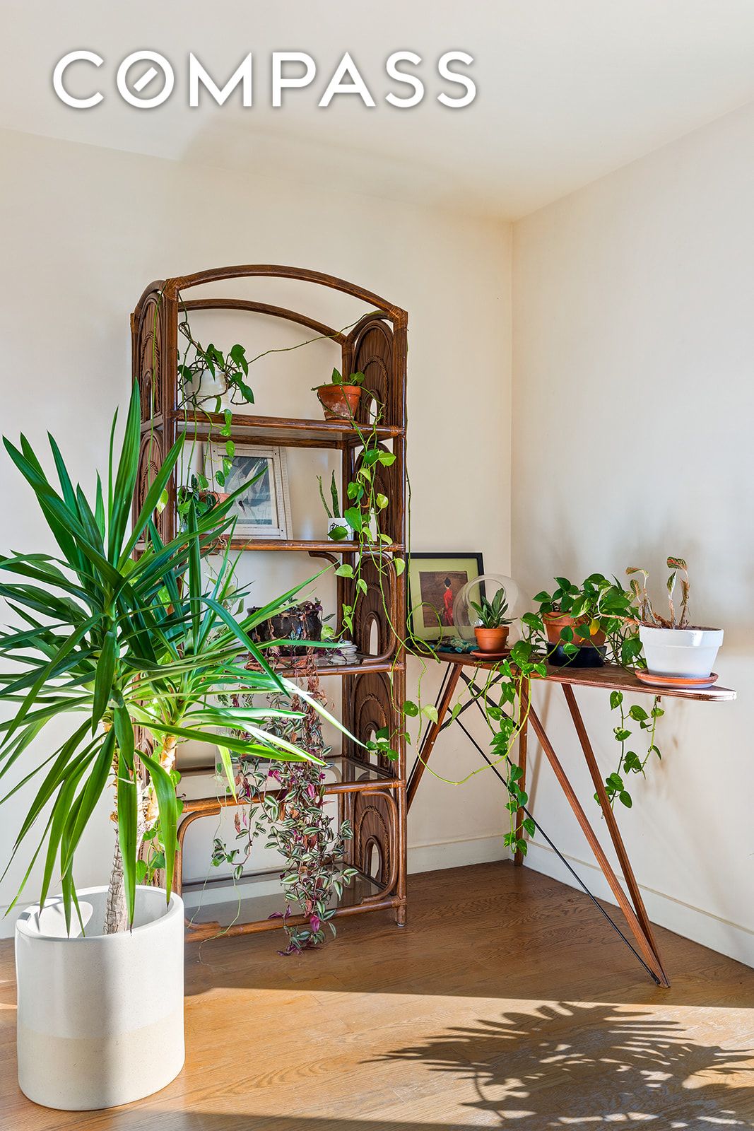 #9 photo, Brooklyn, Bedford-Stuyvesant , NY 11238