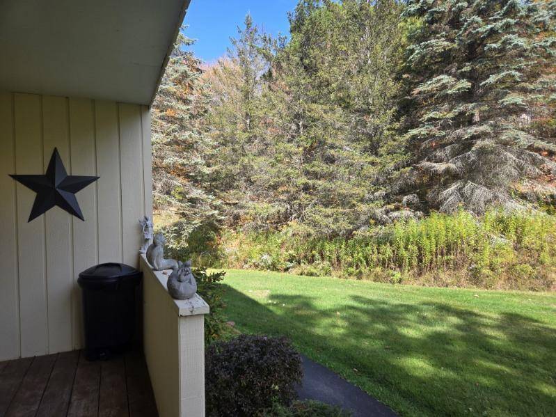 #4 photo, 90 Pines Dr #4-8, Denver , NY 12421