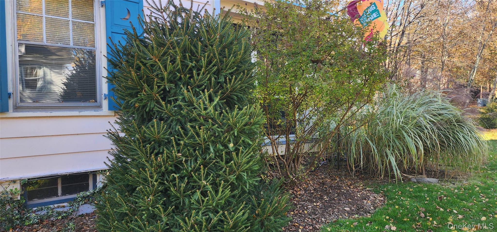 #5 photo, 10 Ann Street, Monticello , NY 12701