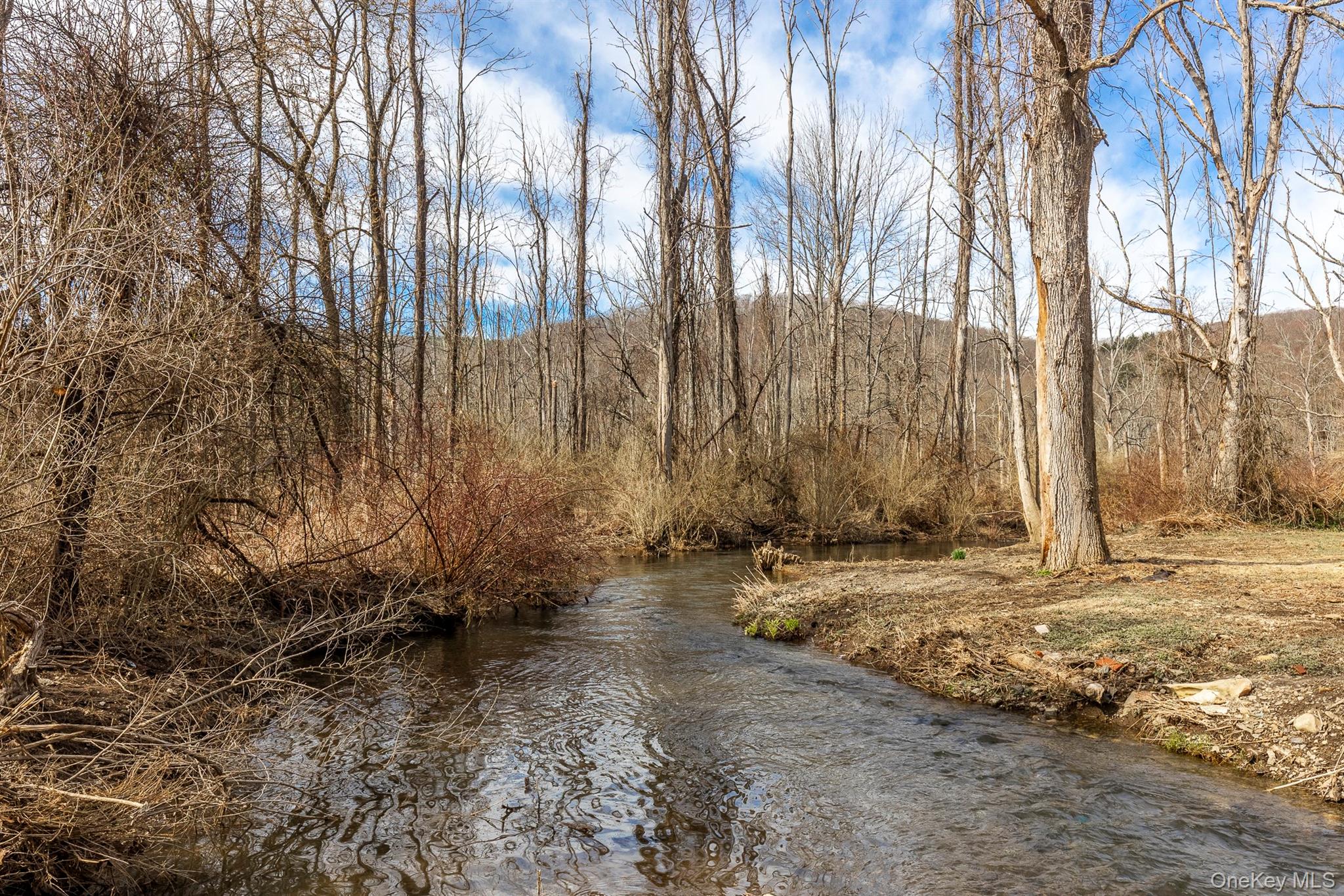 #10 photo, 786 N Clove Road, Lagrangeville , NY 12585