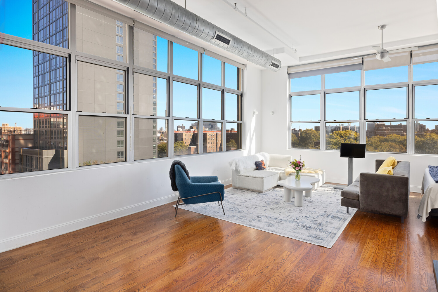 #5 photo, 176 JOHNSON Street, Downtown Brooklyn , NY 11201