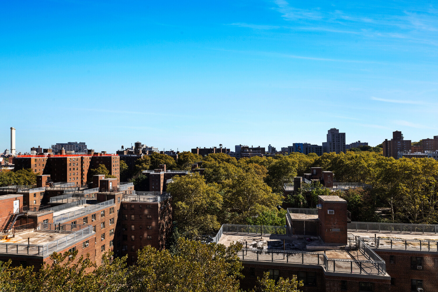 #6 photo, 176 JOHNSON Street, Downtown Brooklyn , NY 11201