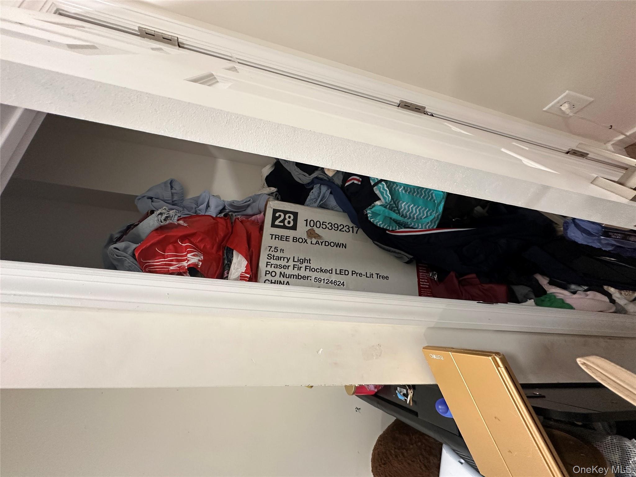 #11 photo, 359 Winthrop Street, Brooklyn , NY 11225