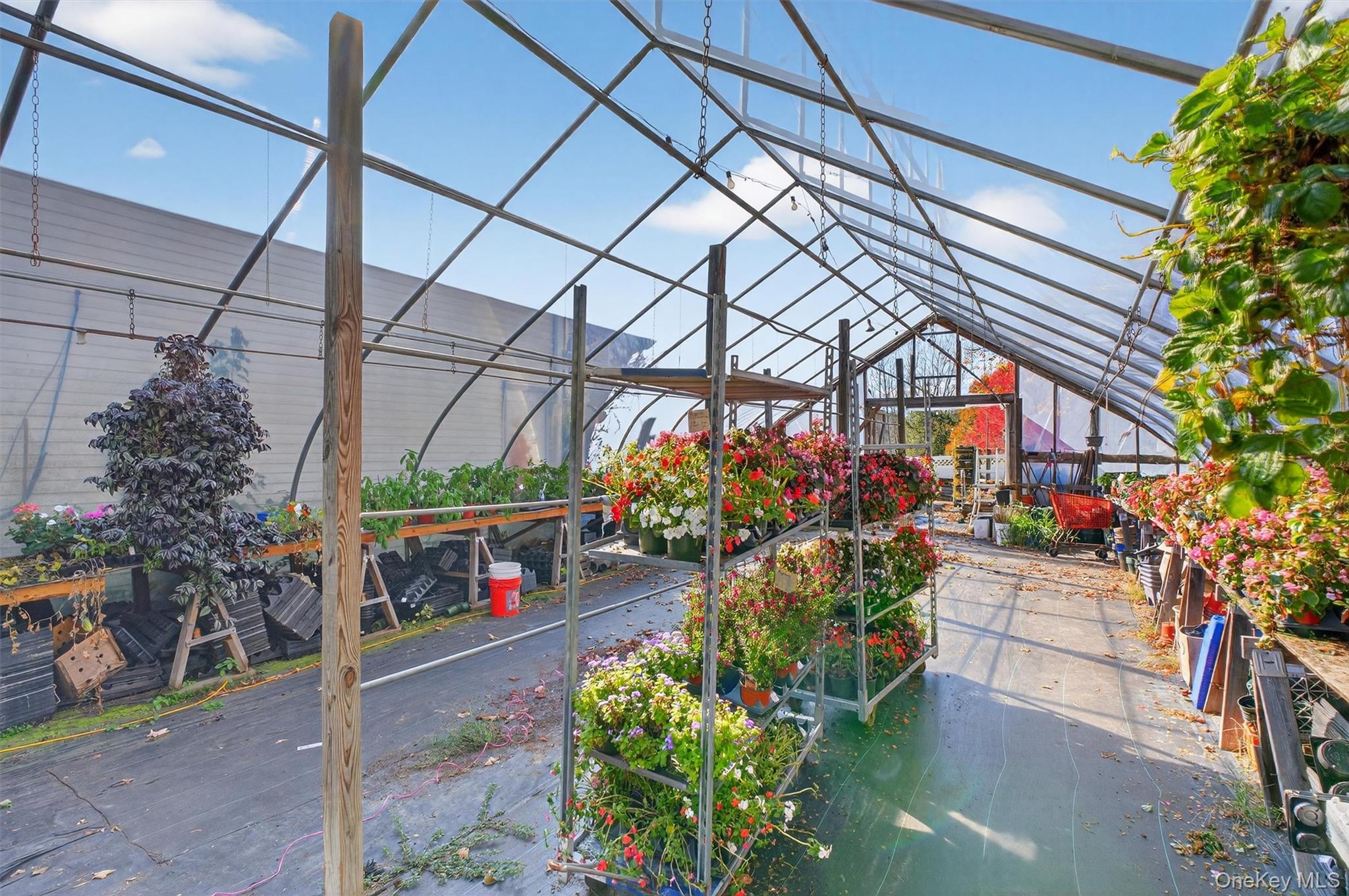 #13 photo, 1062 Oregon Road, Cortlandt Manor , NY 10567