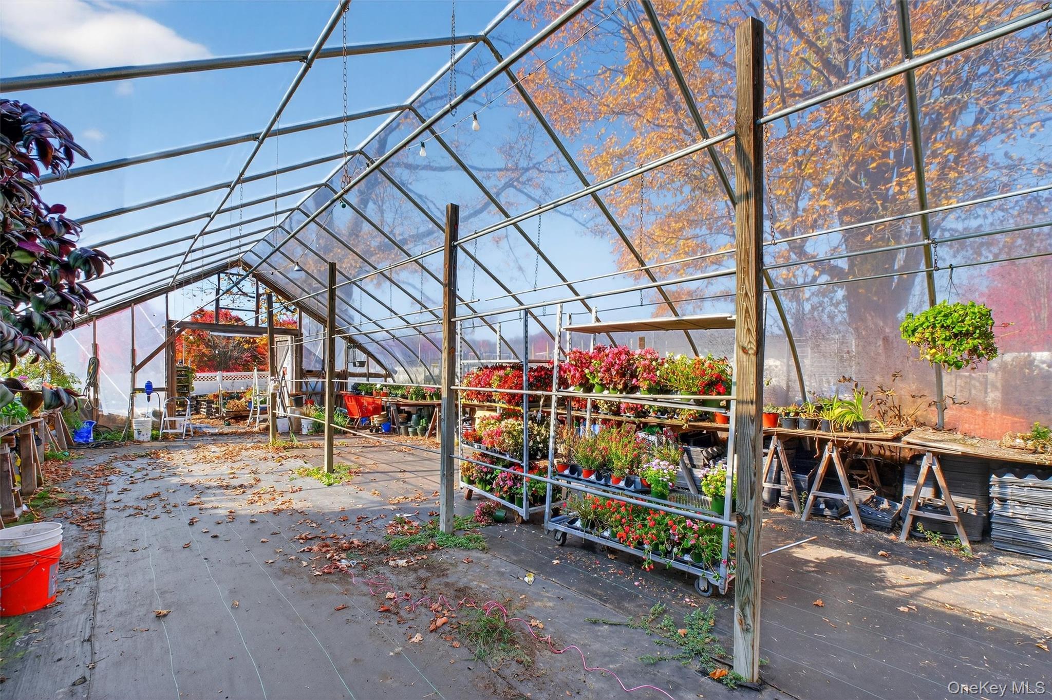 #16 photo, 1062 Oregon Road, Cortlandt Manor , NY 10567