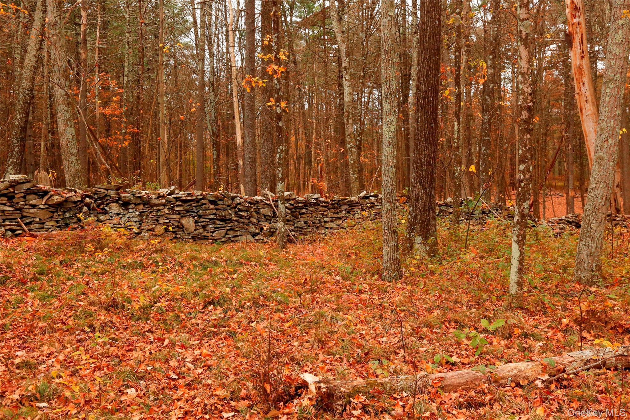 #13 photo, 424 High Falls Road, Saugerties , NY 12477