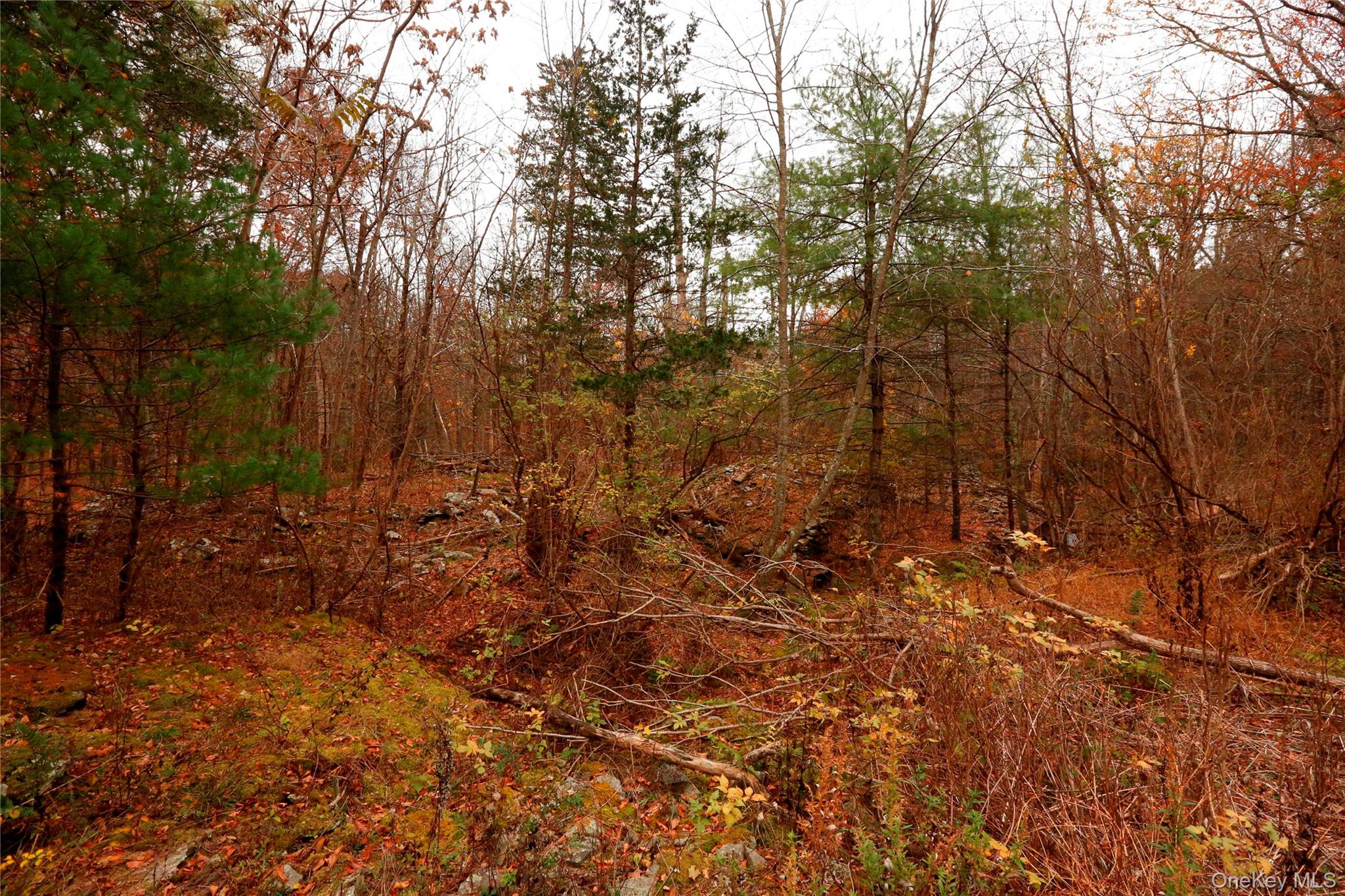 #17 photo, 424 High Falls Road, Saugerties , NY 12477