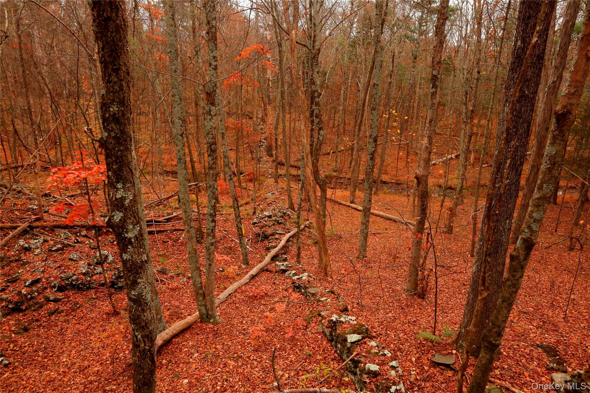 #18 photo, 424 High Falls Road, Saugerties , NY 12477