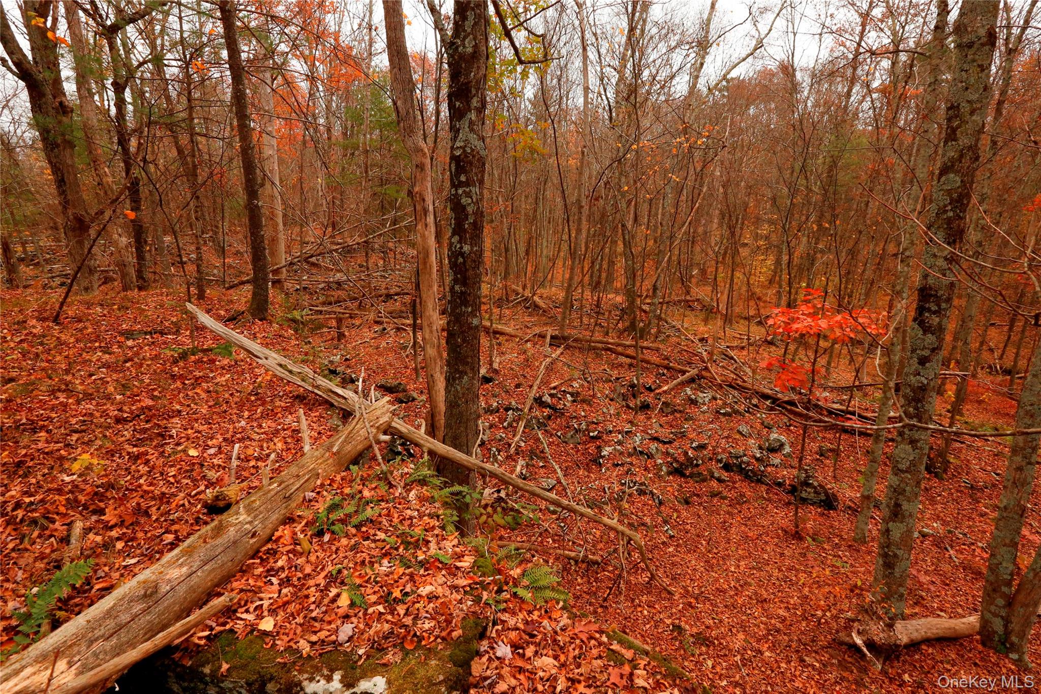 #19 photo, 424 High Falls Road, Saugerties , NY 12477