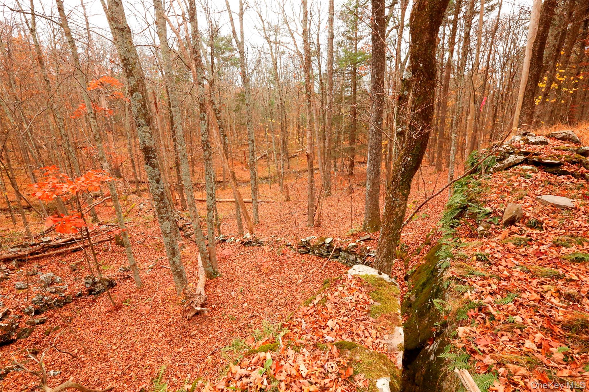 #3 photo, 424 High Falls Road, Saugerties , NY 12477