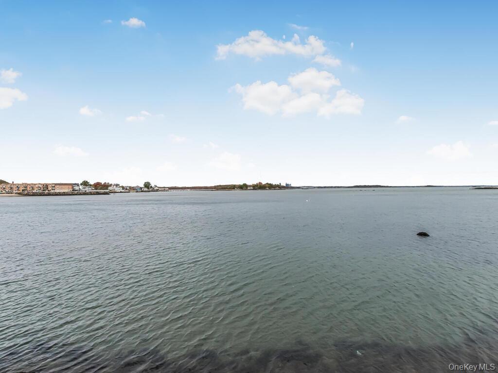 #17 photo, 240 Bowne Street, Bronx , NY 10464