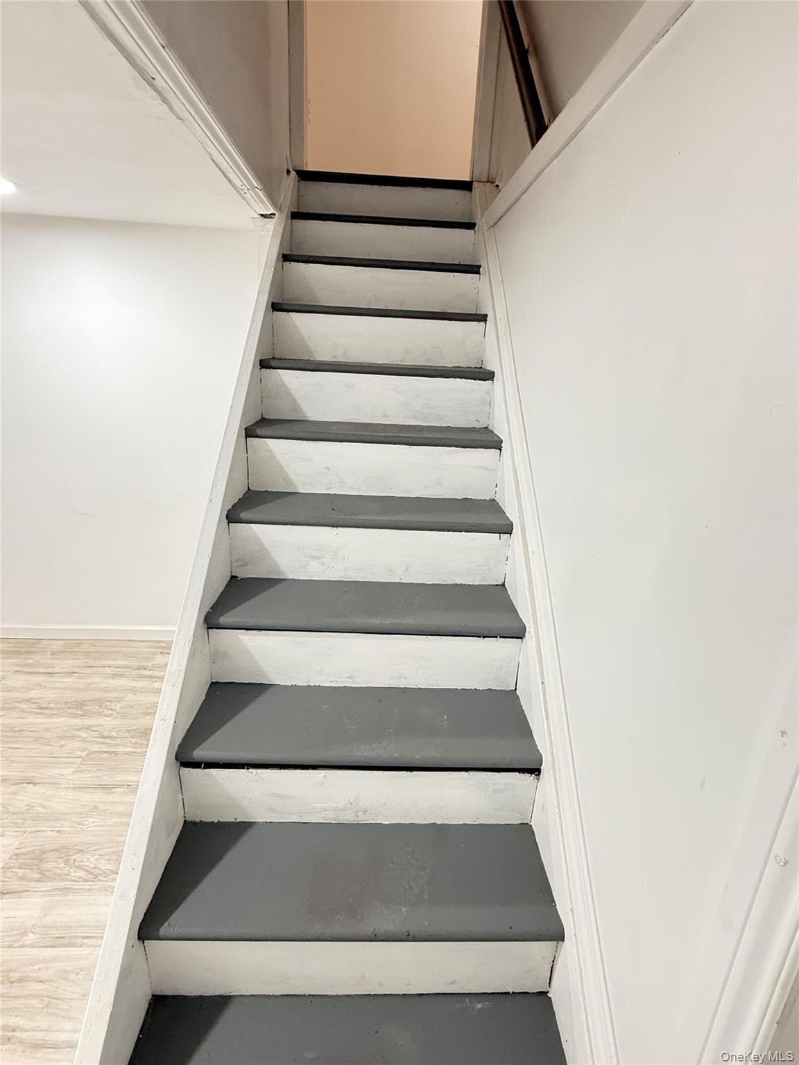 #13 photo, 238 Wiley Street, Brentwood , NY 11717