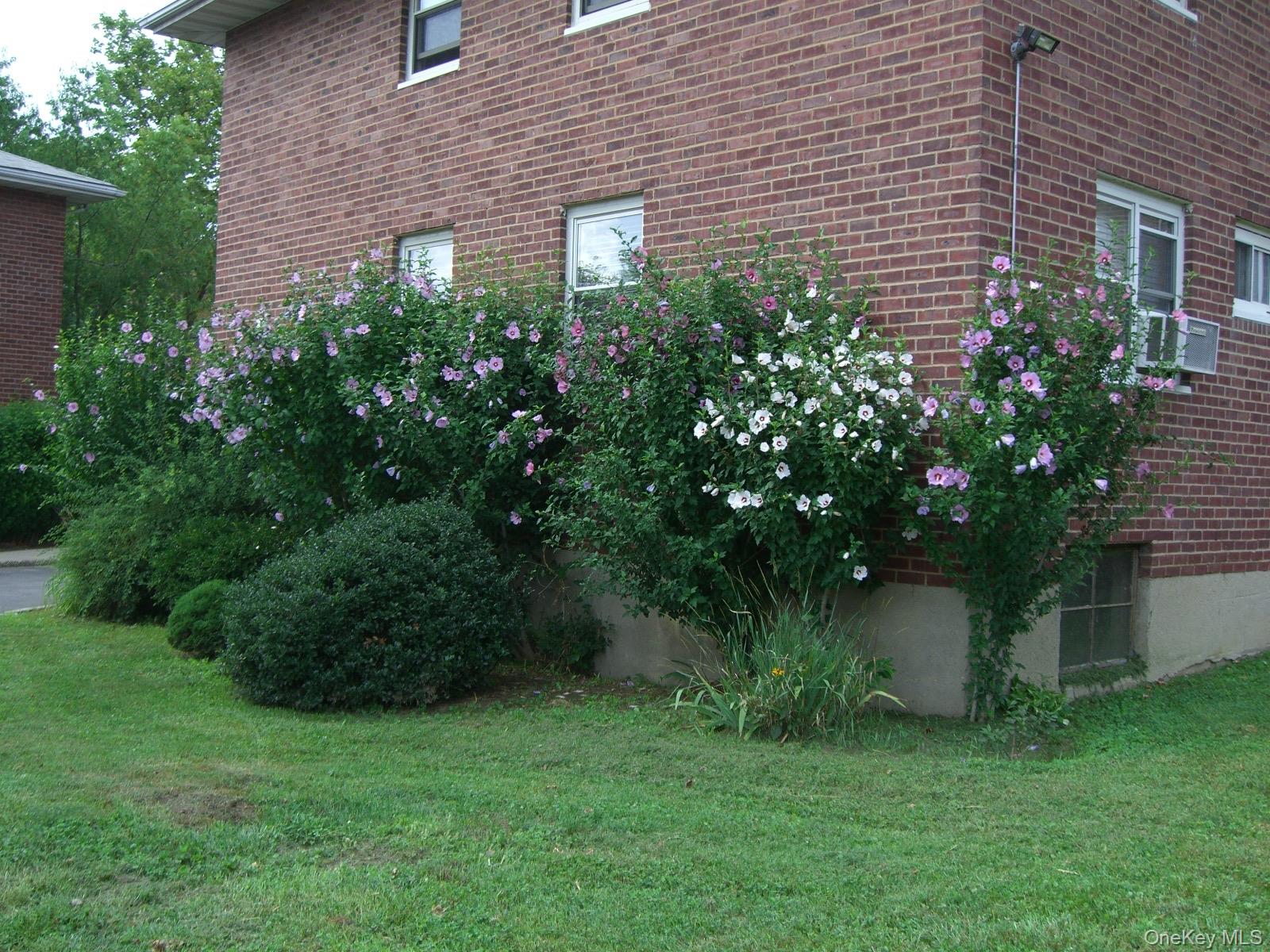 #12 photo, 48 Dehaven, Yonkers , NY 10703