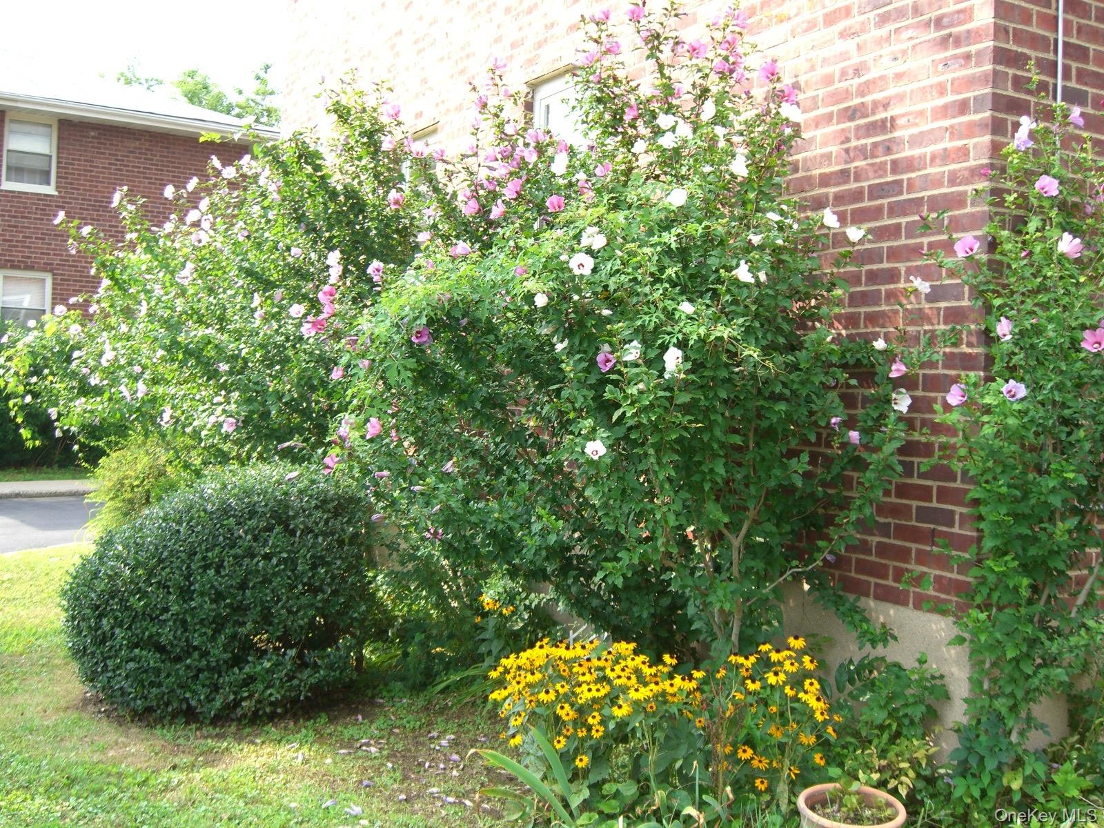 #13 photo, 48 Dehaven, Yonkers , NY 10703