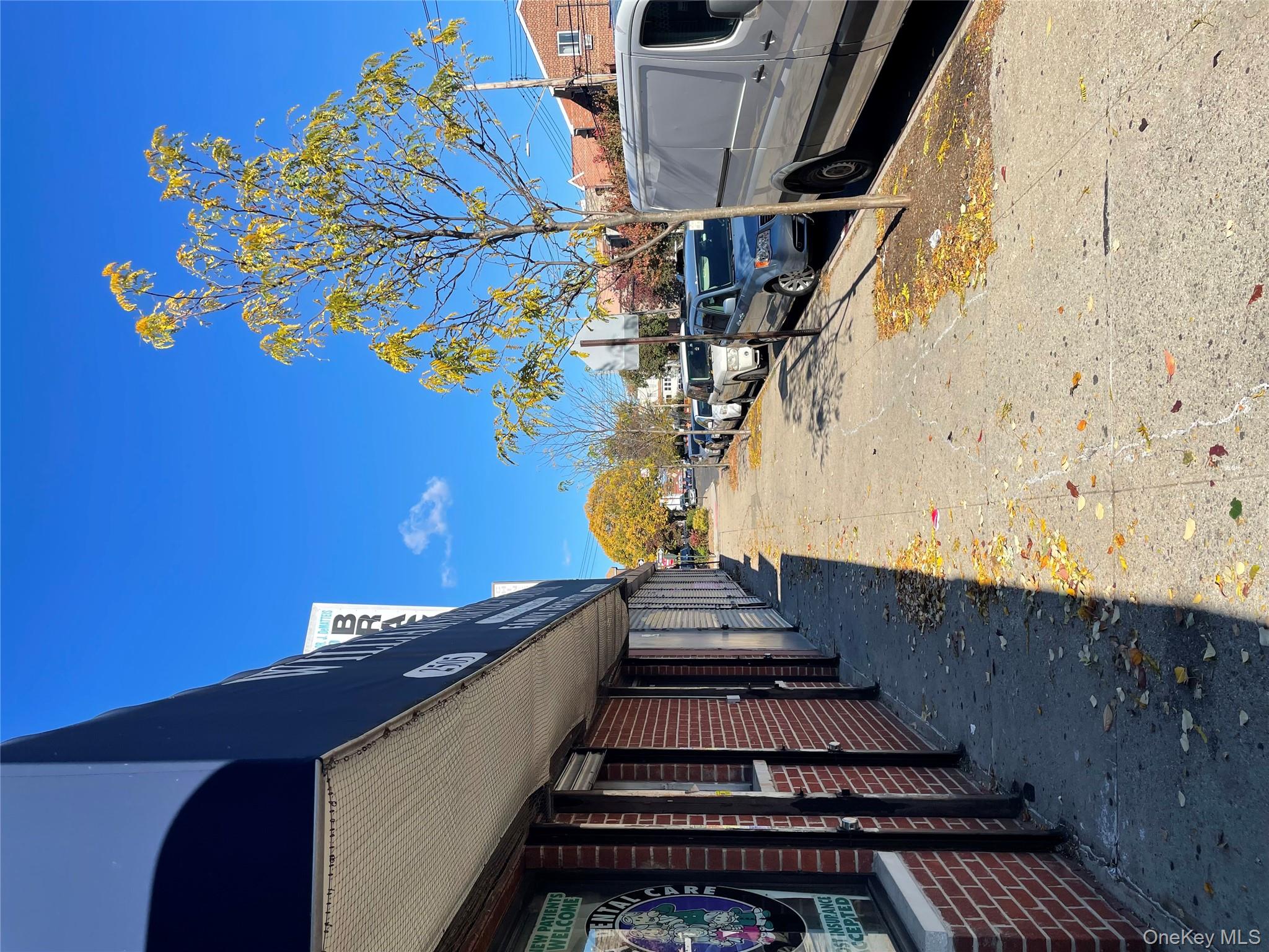 #3 photo, 2509 Williamsbridge Road, Bronx , NY 10469