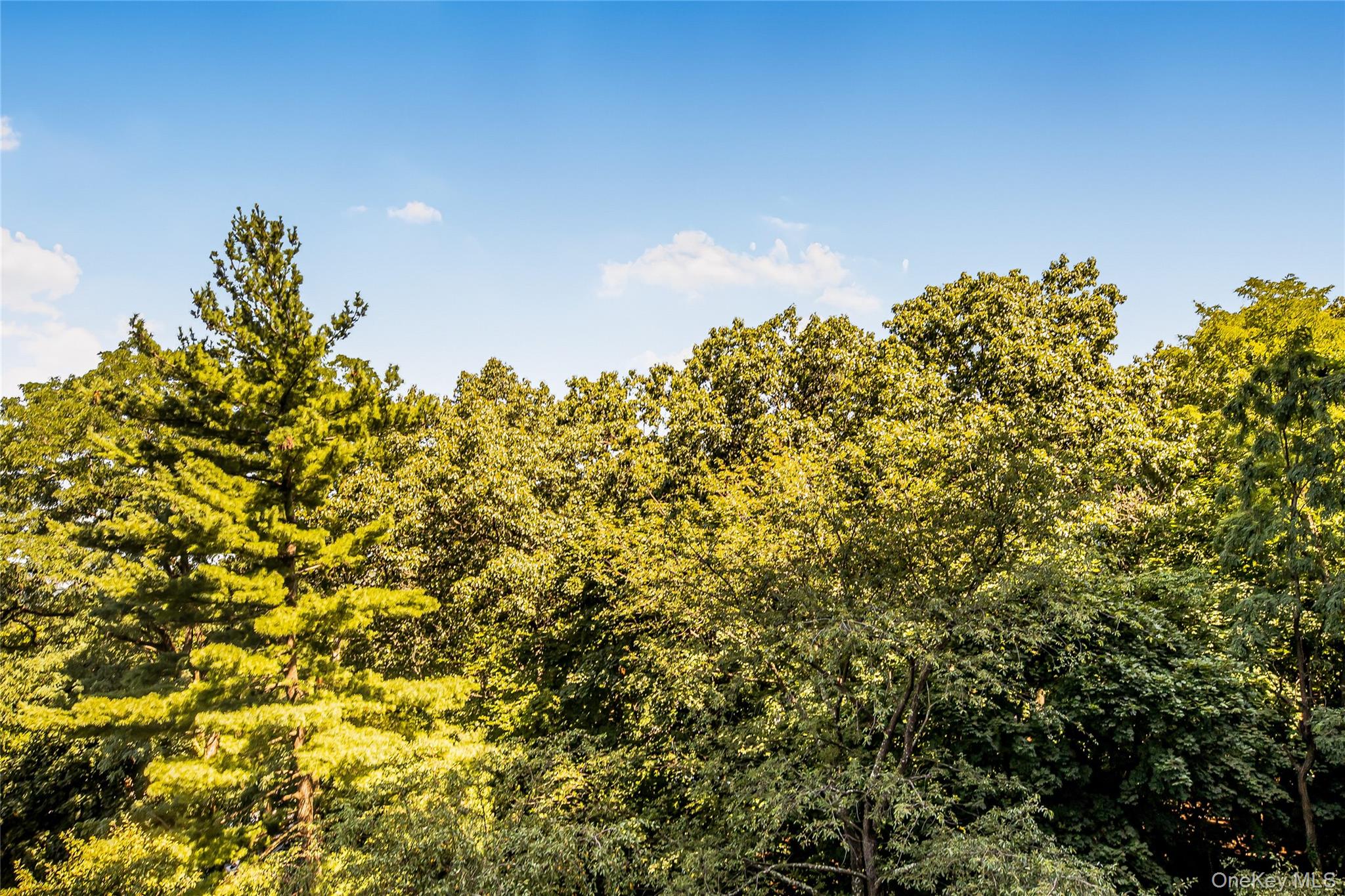 #12 photo, 3935 Blackstone Avenue, Bronx , NY 10471