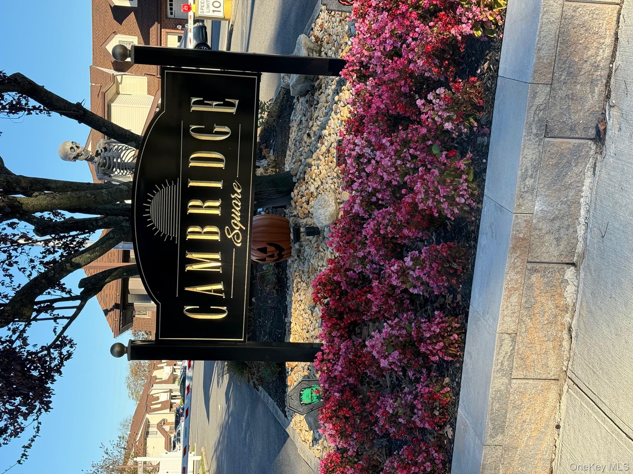 #1 photo, 118 Clubhouse, Copiague , NY 11726