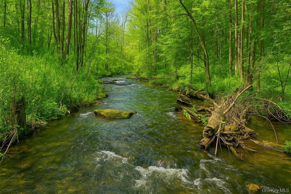 #13 photo, Mill Road, Millerton , NY 12546