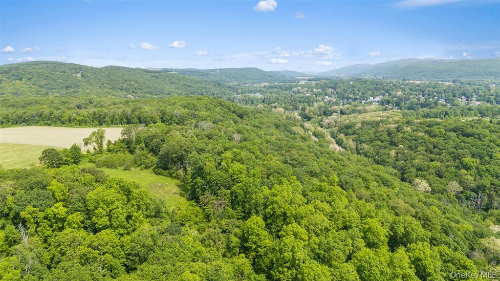 #3 photo, Mill Road, Millerton , NY 12546