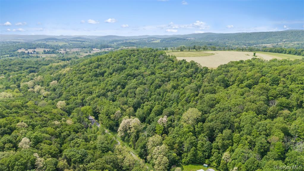 #4 photo, Mill Road, Millerton , NY 12546