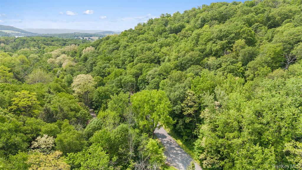 #5 photo, Mill Road, Millerton , NY 12546