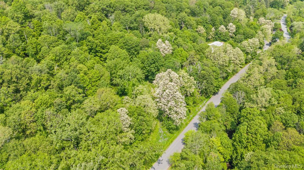 #6 photo, Mill Road, Millerton , NY 12546