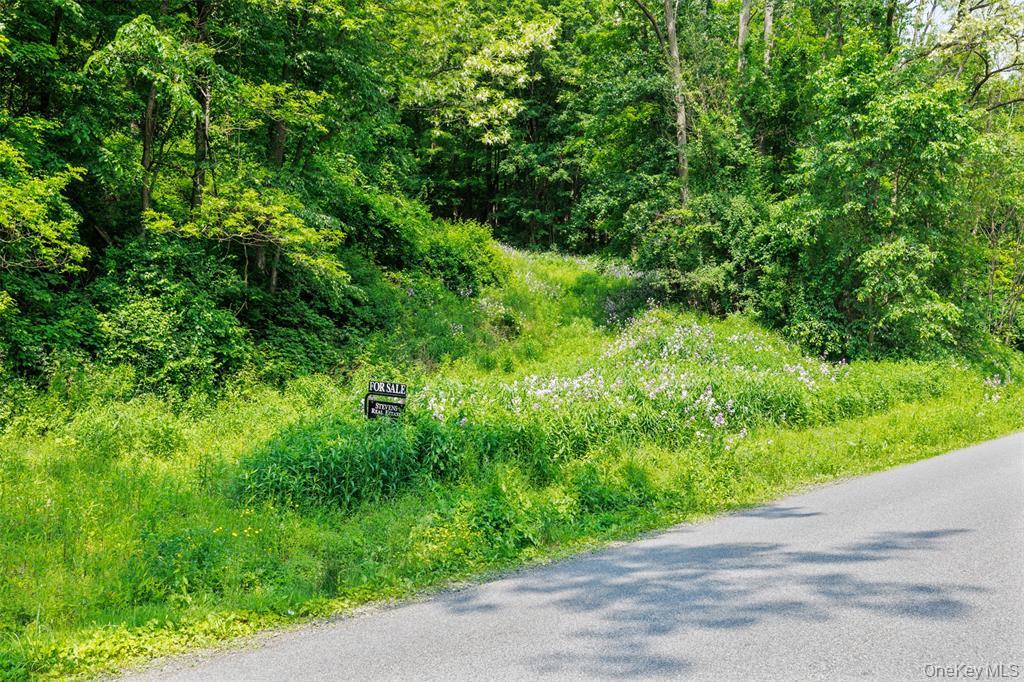 #7 photo, Mill Road, Millerton , NY 12546