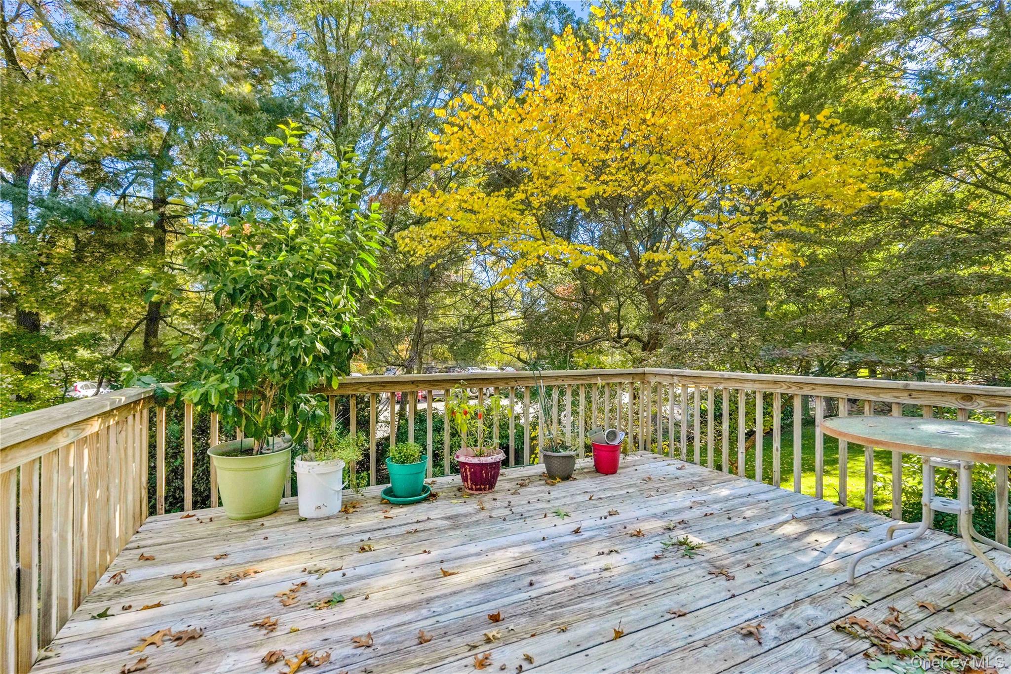 #12 photo, 303 Nassau Boulevard, West Hempstead , NY 11552