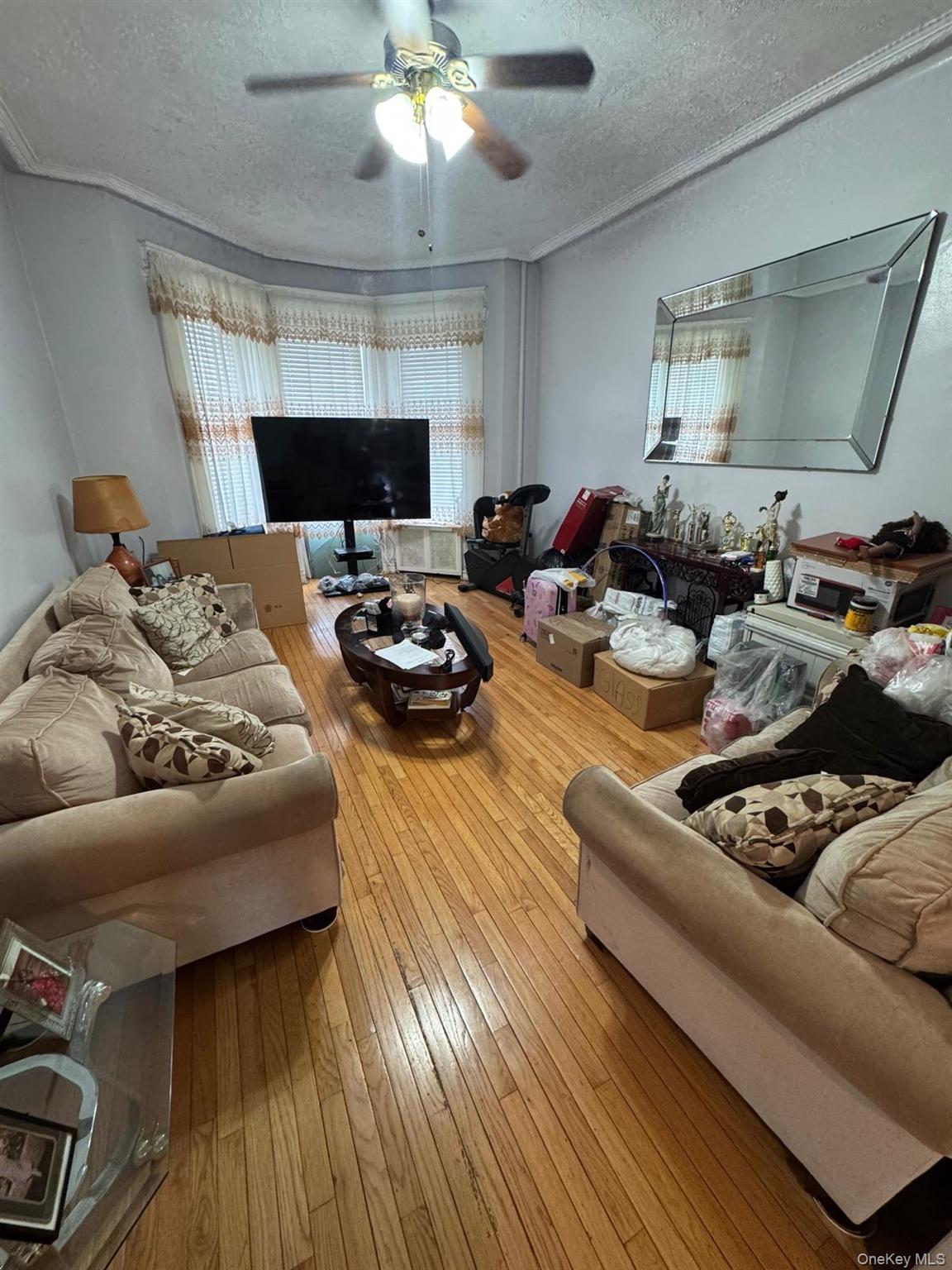 #3 photo, 1536 Union Street, Brooklyn , NY 11213