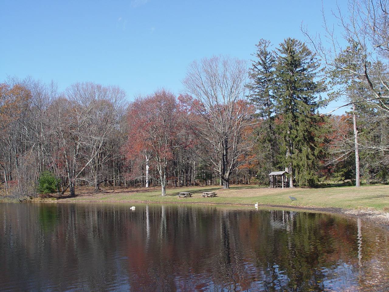 #51 photo, 11 Altamont Rd, Bloomingburg , NY 12721