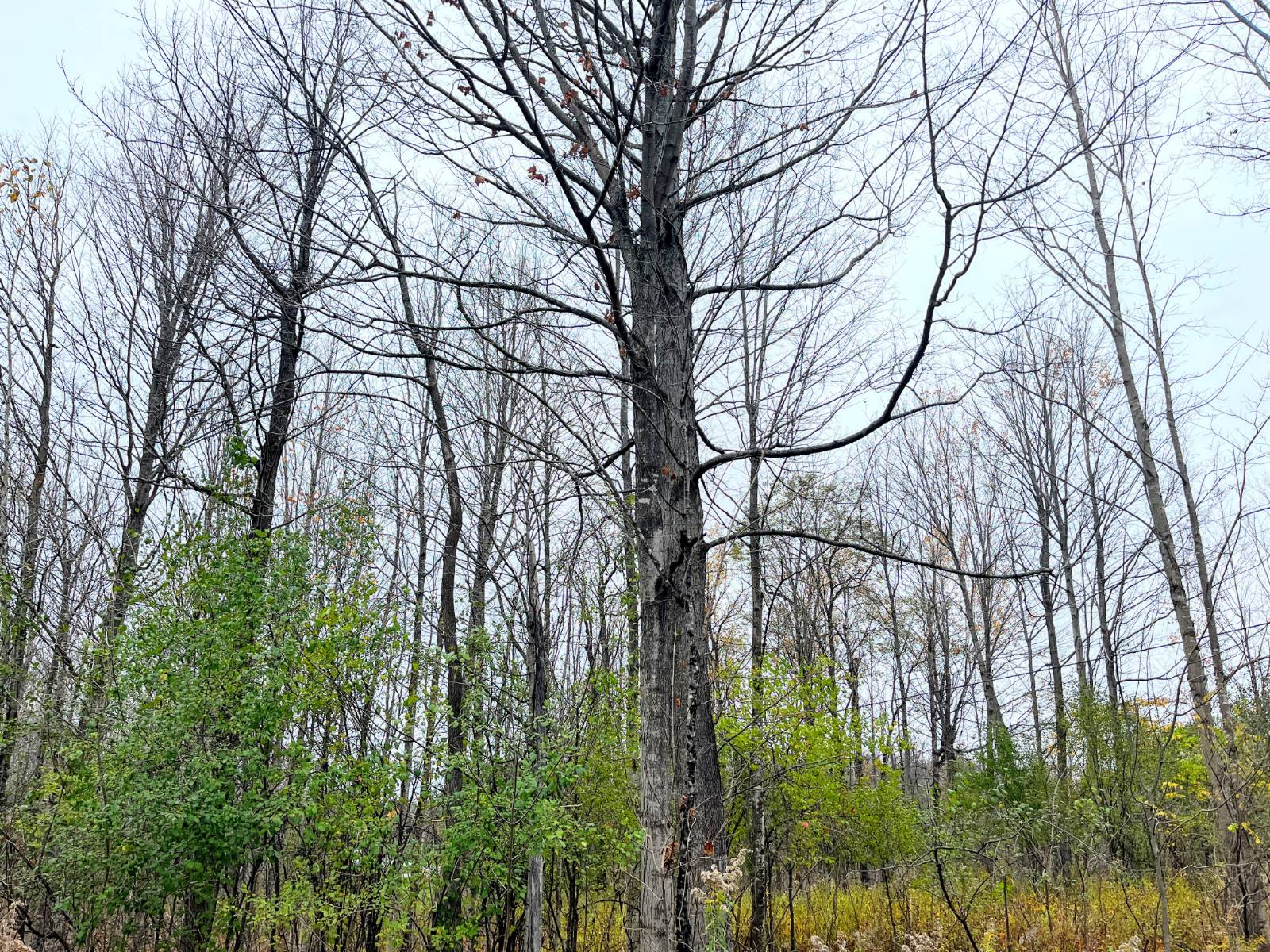 #10 photo, 00 County Route 47, Winthrop , NY 13676