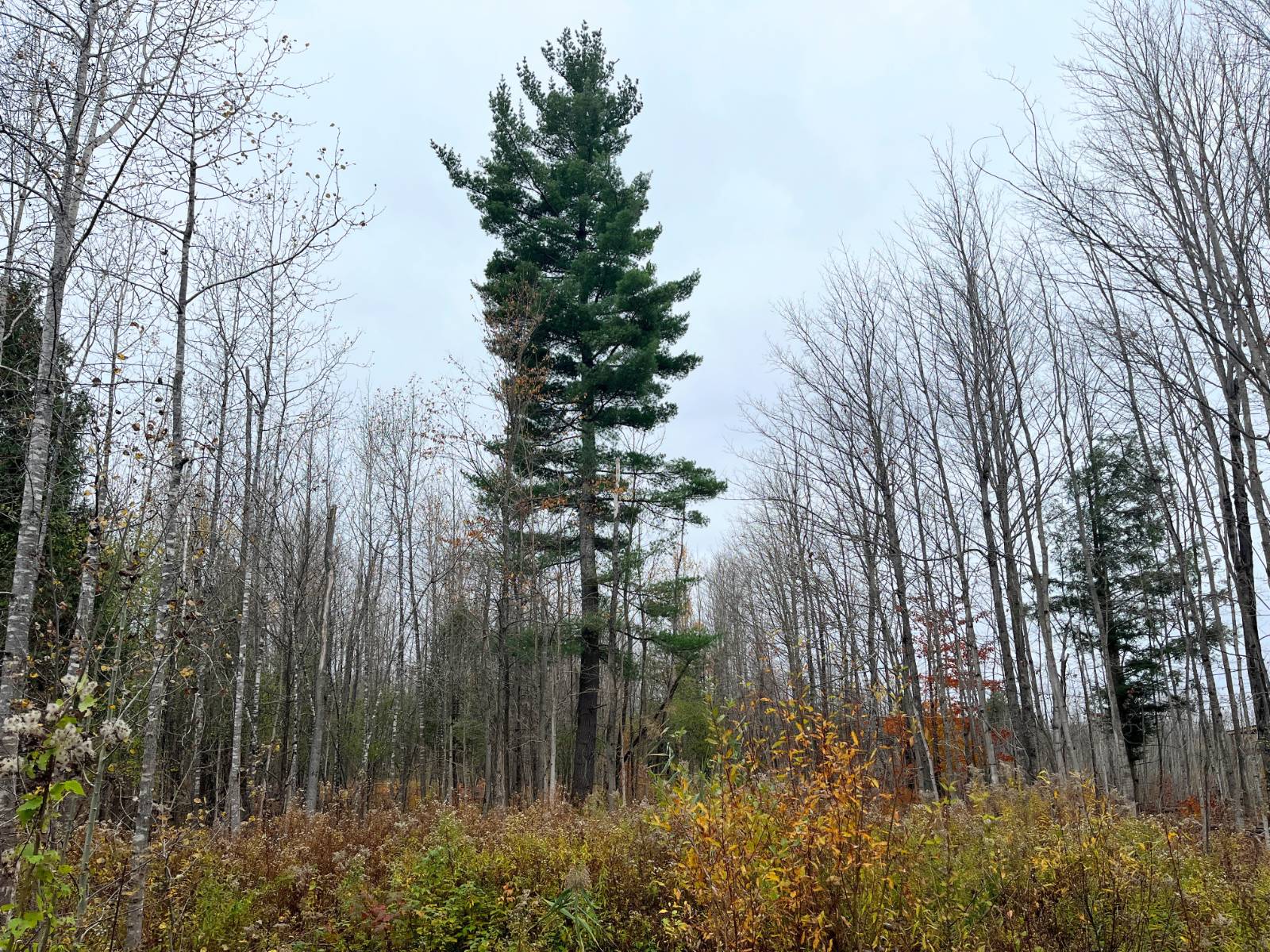 #11 photo, 00 County Route 47, Winthrop , NY 13676