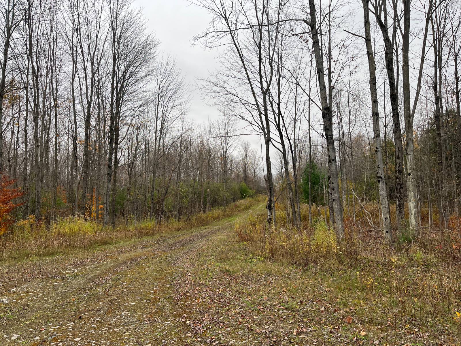 #12 photo, 00 County Route 47, Winthrop , NY 13676