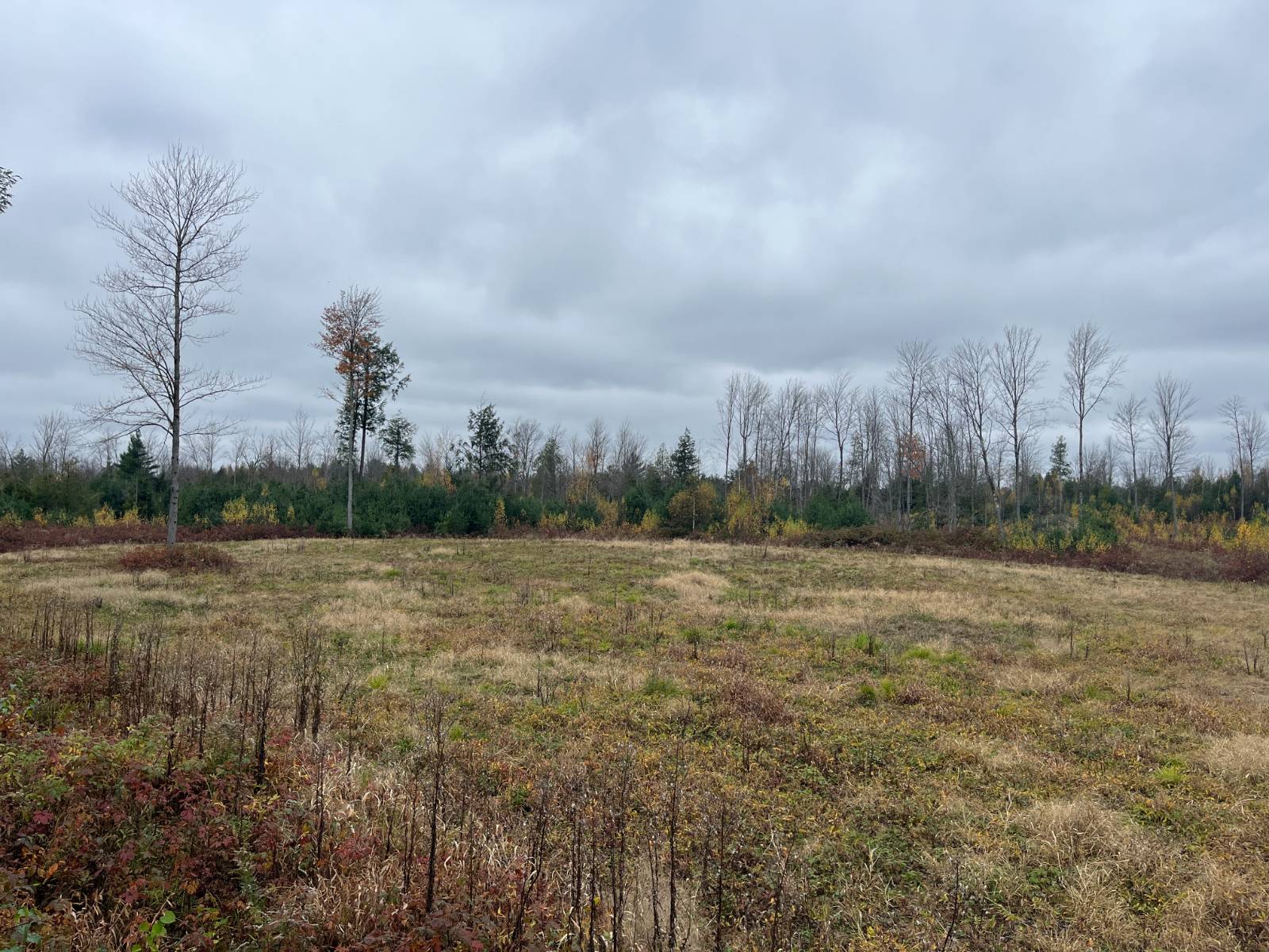 #28 photo, 00 County Route 47, Winthrop , NY 13676