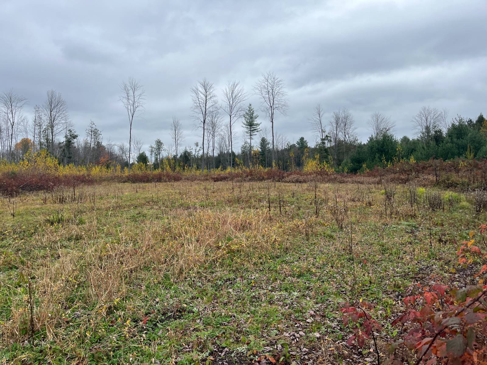 #29 photo, 00 County Route 47, Winthrop , NY 13676