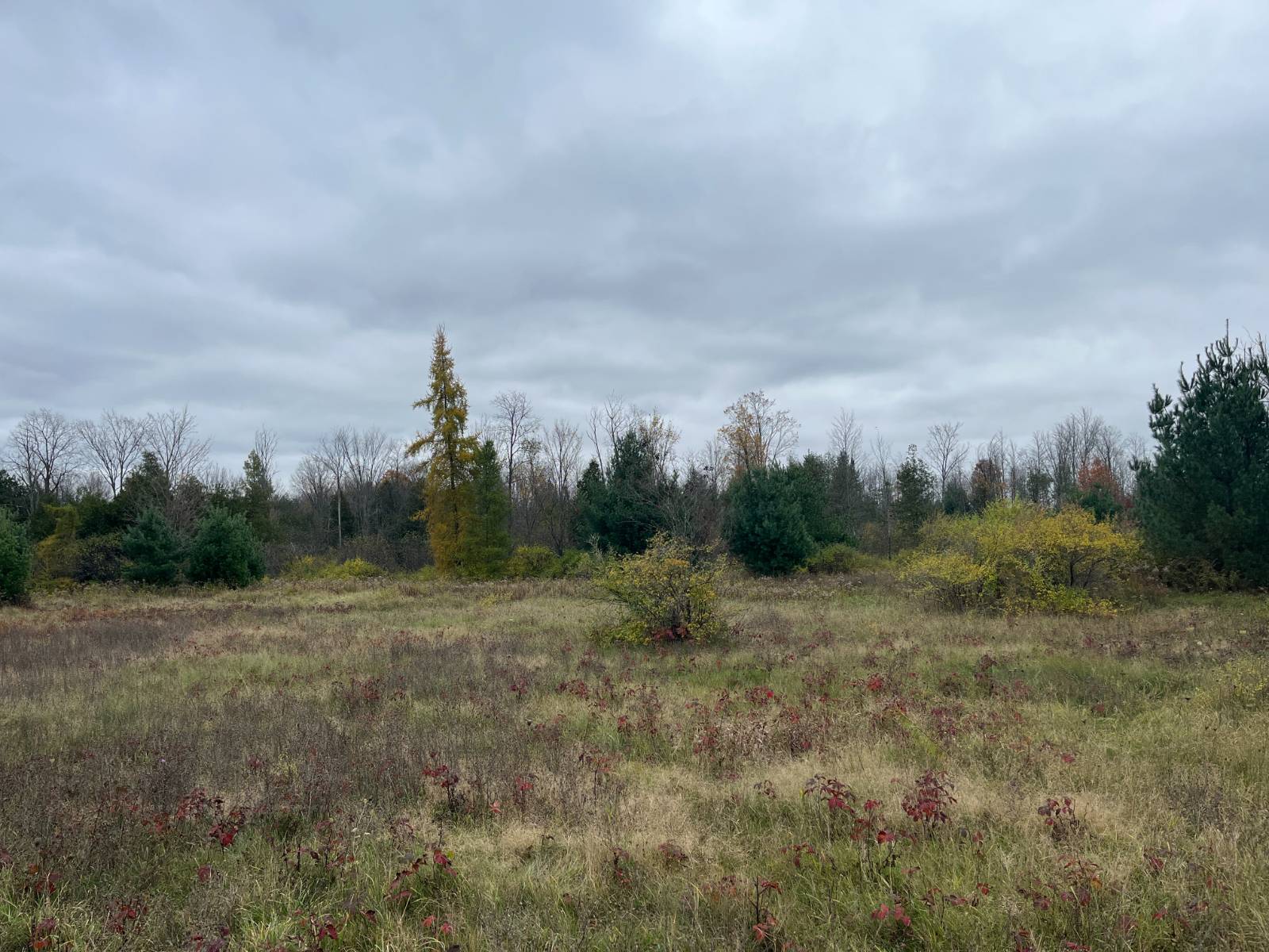 #3 photo, 00 County Route 47, Winthrop , NY 13676